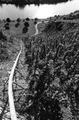 Mosel-2008_12.jpg