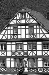 Mosel-2008_08.jpg