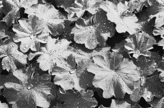 Thueringen-2010_21.jpg